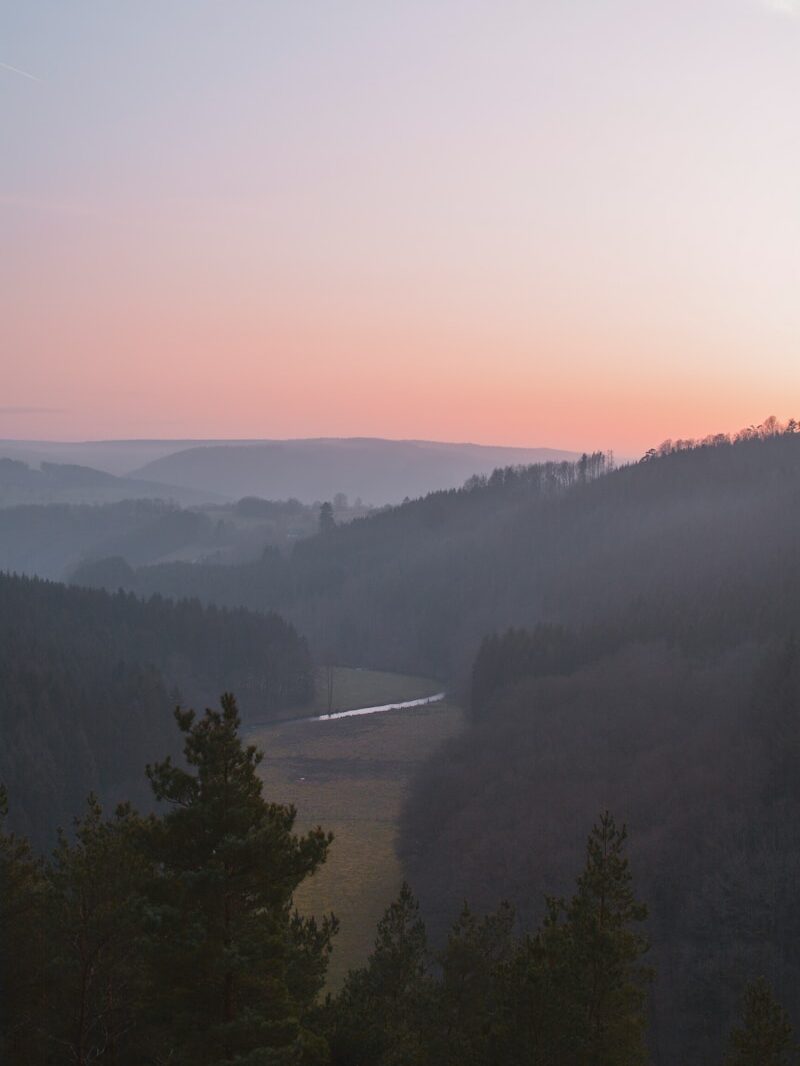 green trees on mountain during daytime